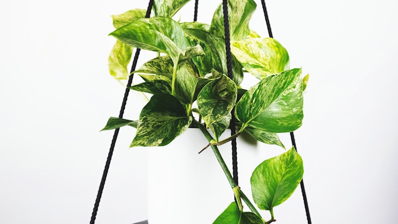 西甲联赛皇家马德里主场迎战巴塞罗那国家德比 - 伯纳乌球场全景