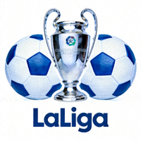 西班牙足球甲级联赛标志 - 西甲奖杯与足球