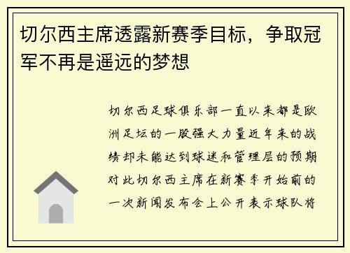 切尔西主席透露新赛季目标，争取冠军不再是遥远的梦想